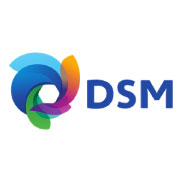 DSM
